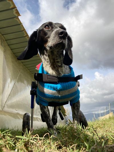 clicca per vedere foto grande